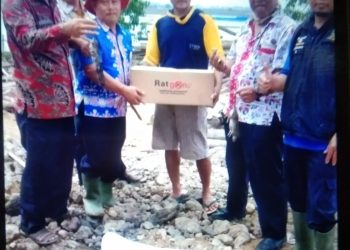 Sebelum Lakukan Tanam Padi Camat Bersama Petani Lakukan Gropyokan Tangkap tikus
