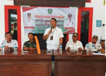 Kendalikan Hama dan Penyakit, BPP Kecamatan Cantigi Gelar Penyuluhan