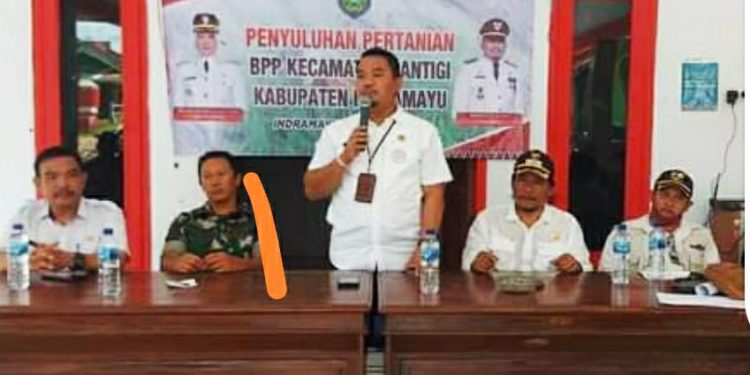Kendalikan Hama dan Penyakit, BPP Kecamatan Cantigi Gelar Penyuluhan