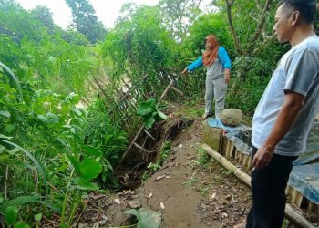 Sepadan Sungai Terkikis Dan Longsor, Pemdes Jatiseeng Kidul Minta Perhatian Serius BBWS