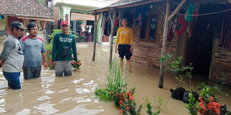 Curah Hujan Tinggi, Rumah di Desa Bugel Patrol Terendam, Kabel Listrik di Kecamatan Pasekan Putus