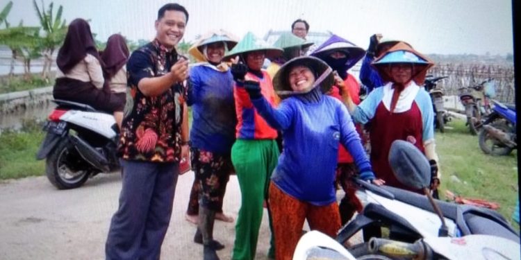 Kedatangan Camat Turun  Kesawah  Disambut Kaum Ibu Buruh Tani