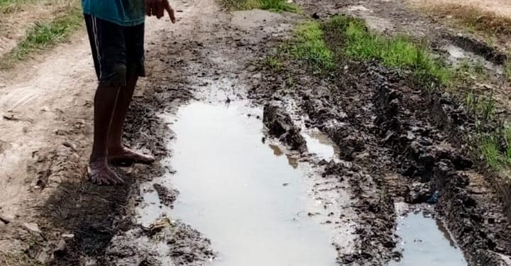 Kapan PUPR Kabupaten Cirebon memperbaiki jalan kabupaten Cirebon di Desa Mulya Sari Kecamatan Losari