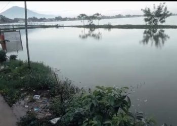 Pembudidaya Ikan Hias dan Peternak Ikan Konsumsi Di Desa Karangkendal Menjerit