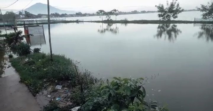 Pembudidaya Ikan Hias dan Peternak Ikan Konsumsi Di Desa Karangkendal Menjerit