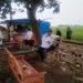Kuwu Sumbon Normalisasi Saluran Irigasi Cipondoh