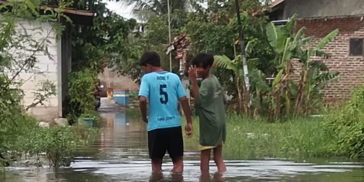 Pemukiman Penduduk Dikepung Air Akibat Curah Hujan Tinggi