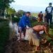 Pemdes Tawangsari Minta Ada Peningian Tanggul Sungai Cisanggarung