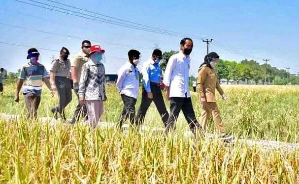 Tingkatkan Kesejahteraan Petani, Bupati Nina: Beras Indramayu Harus Jadi Tuan Rumah