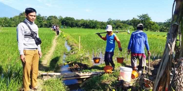 P3A Mitra Cai Sutong Jaya Realisasikan Peningkatan Jaringan Irigasi
