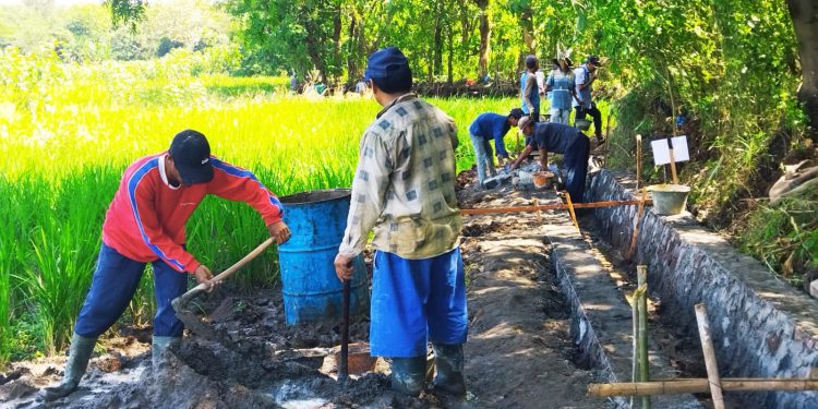 Peningkatan Jaringan Irigasi di Desa Kaligawe Program BBWS Cimanuk Cisanggarung.