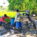 Peningkatan Jaringan Irigasi di Desa Kaligawe Program BBWS Cimanuk Cisanggarung.
