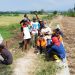 Wujudkan Program Ketahanan Pangan, Pemdes Karangsuwung Tingkatkan Infrastruktur Pertanian