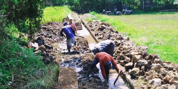 Pemdes Ciawijapura Bangun Saluran, 50 % Gunakan Material Batu Bekas Saluran Lama