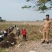 Pemerintahan Desa Pranti membuat jalan Poros desa.
