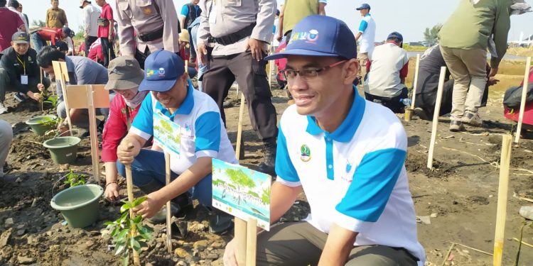 Jaga Kelestarian Lingkungan dan Cegah Abrasi, PLN Nusantara Power Telah Tanam 100 Ribu Mangrove