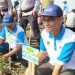 Jaga Kelestarian Lingkungan dan Cegah Abrasi, PLN Nusantara Power Telah Tanam 100 Ribu Mangrove