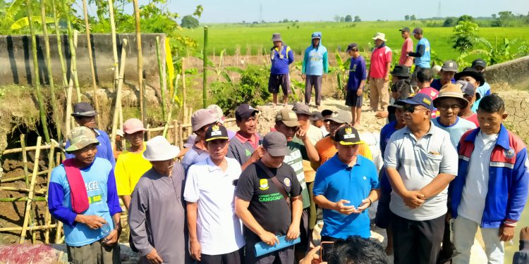 Tanggul Irigasi Jati Lawang Jebol, Dipastikan Banyak Sawah Gagal Panen￼
