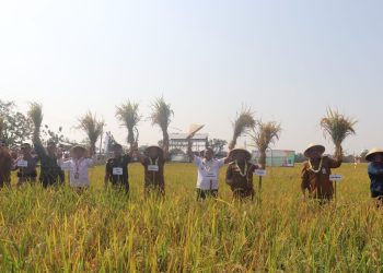 Cegah Krisis Pangan, Bupati Cirebon Kembali Dorong Regenerasi Petani.