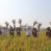 Cegah Krisis Pangan, Bupati Cirebon Kembali Dorong Regenerasi Petani.