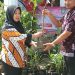 Bupati Indramayu Beri Bantuan Bibit  PusPa .