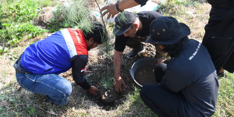 Peduli Lingkungan, Kilang Balongan Tanam 100 Cemara Laut di Pesisir Pantai