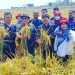 Hasil Panen Gaduh Musim Tanam 2023 Mencapai  8,5 Ton /Hektar