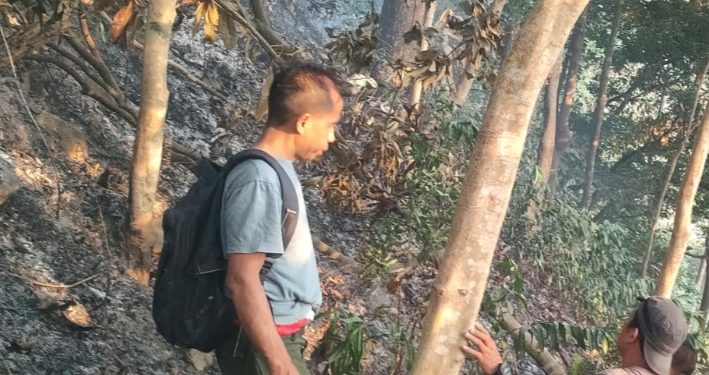 Kebakaran Hutan Kawasan Curug Gentong Desa Cipanas semakin Meluas