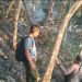 Kebakaran Hutan Kawasan Curug Gentong Desa Cipanas semakin Meluas