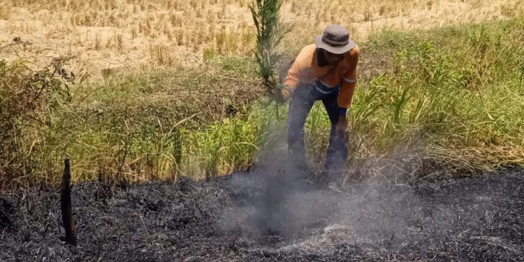 September Terjadi Enam Kali Kebakaran di Sekitar Jalur Kereta Api, KAI Daop 3 Cirebon Himbau Masyarakat Tidak Bakar Sampah
