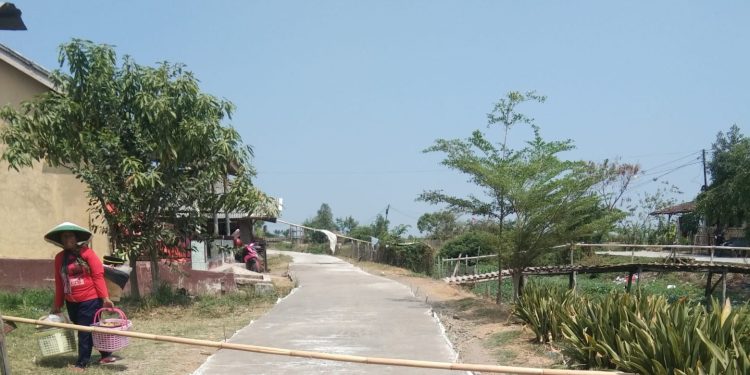 PJ.Kuwu Joni , Laksanakan Pengecoran Jalan Tanggul Wa Kadimah