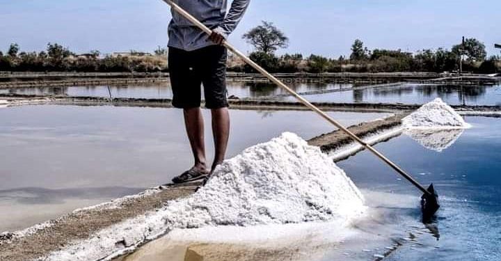 Desa Santing dan desa Cemara Panen Garam .