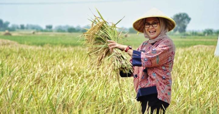 Bupati Nina: Kita Bisa Panen Karena Kekompakan Gilir Giring Air