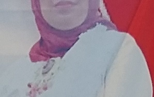 Bupati HJ.Nina Agustina Bantu Aspal .