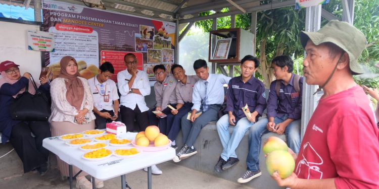 Soft Launching Edu-Eco Tourism Mangoes Center RU VI Balongan
