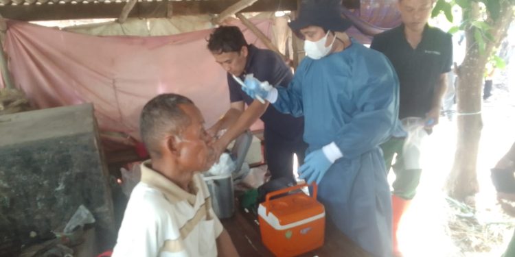 6 Ekor Sapi di Indramayu Mati Misterius, Tim Lakukan Penelitian