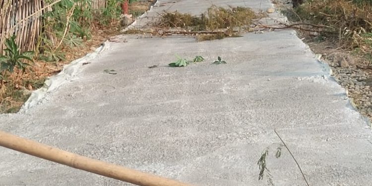 Pemdes Karanganyar Pengecoran 3 Jalan desa