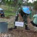 Peringati Hari Juang TNI AD, Kodim 0614/Kota Cirebon Gelar Penanaman Pohon Oleh KASAD 
