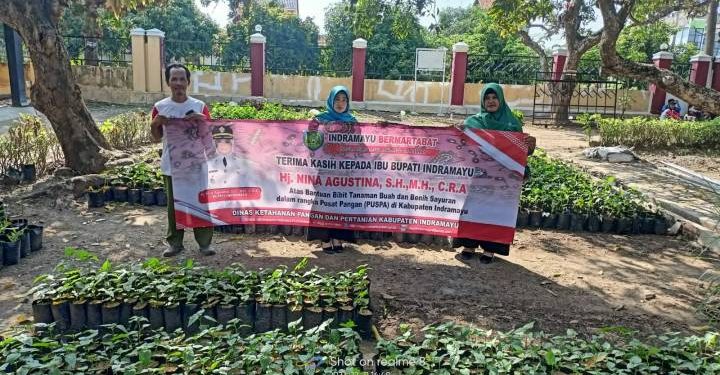 Bupati Nina Instruksikan Gerakan  Menanam Cabe 