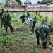 Peduli Lingkungan, Koramil 0620-10/Lemahabang Bersihkan Sungai Singaraja Tuk Karangsuwung