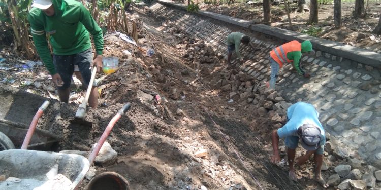 Rehabitas Jaringan irigasi desa Kroya .