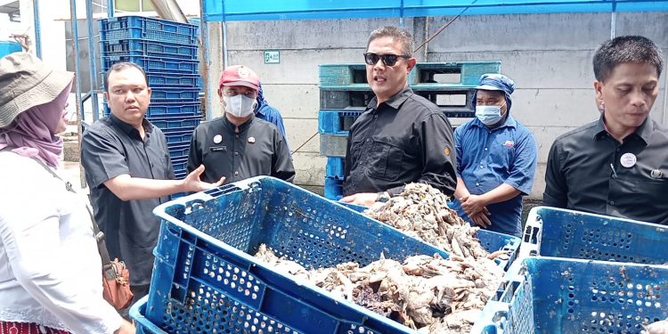 Bau Menyengat, Tim Gabungan Pemkab Indramayu Hentikan Sementara Produksi Pabrik Tepung Ikan