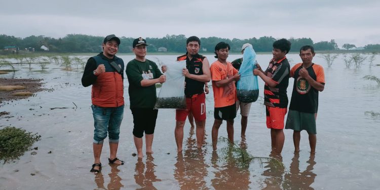 Camat Sedong Bersama Pemuda Pancasila PAC Sedong Tebar 1000 Benih Ikan Nila di Setu Sedong