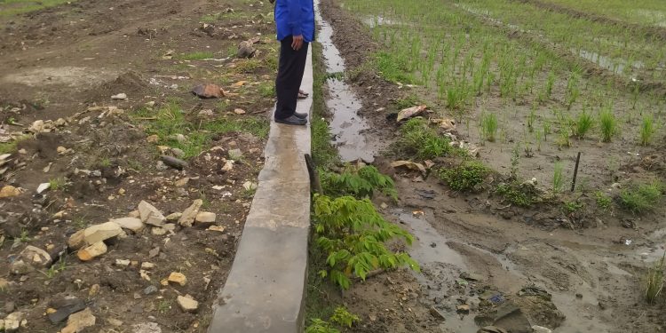 Warga Keluhkan Imbas Dari Proyek Penanaman Pipa Distribusi Air di Desa Jungjang