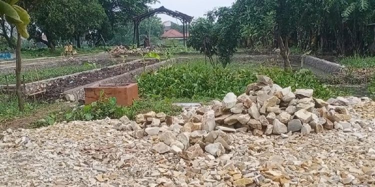 Oknum Kuwu Desa Pegagan Diduga Mark’up Program Ketapang Tahun 2023