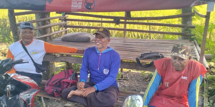 Pasang Jeratan Tikus dengan Kawat Dialiri Strum Aki 12 Volt , Tikus Mati