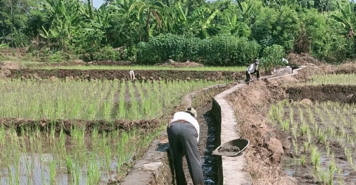 Tak Ada Papan Informasi, Proyek Irigasi Desa Susukantonggoh Membangun Atau Rehabilitasi ?