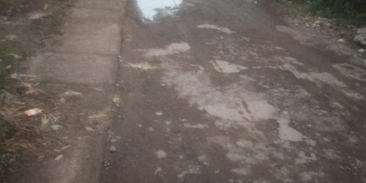 Jalan Desa Di Desa Astanalanggar Kecamatan Losari Rusak Parah 