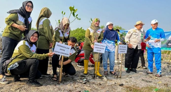 Peringatan Hari Lingkungan Hidup Sedunia, DLH Kota Cirebon Tanam Mangrove di Kawasan Pesisir