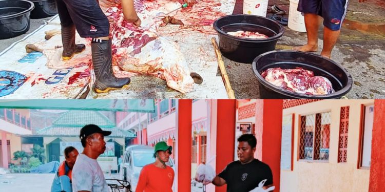 Peringati Hari Raya Idul Adha 1445 H, SMK Al Jabbar Ciledug Potong Qurban Sapi